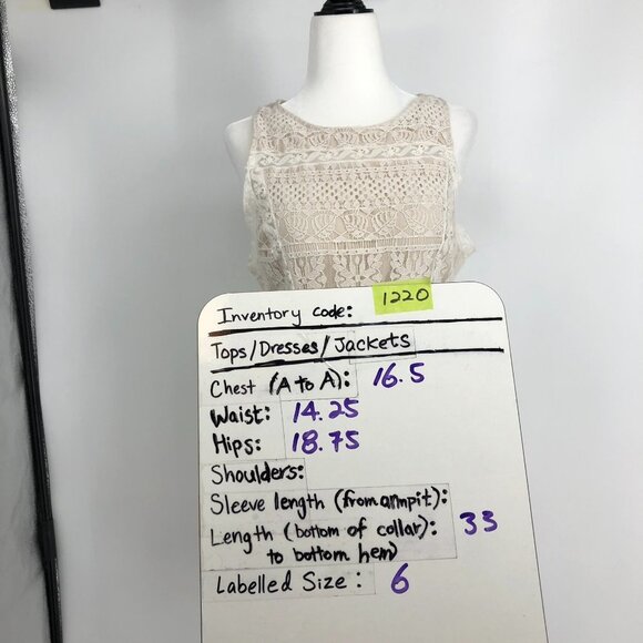 NWT ALL SAINTS Lace Pattern Melia  Mini Dress in oyster white Size 6 - Picture 15 of 16